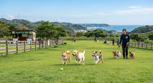 シニア犬の健康診断会を大宮で開きます