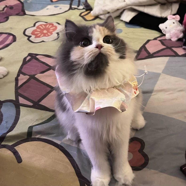 サクラナ