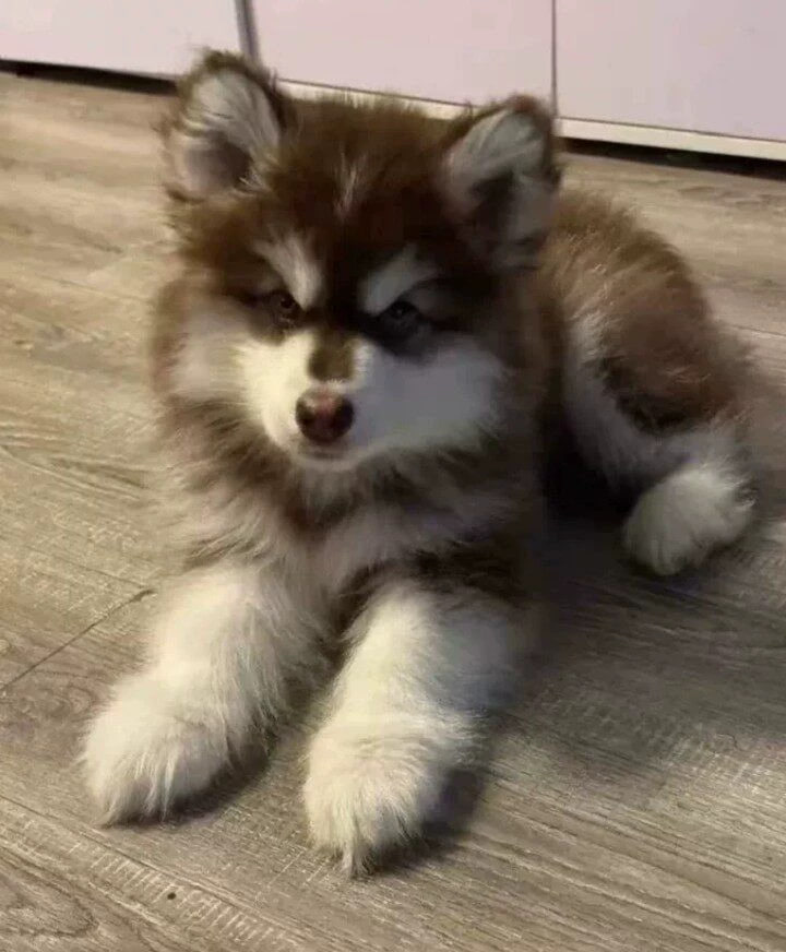 くり